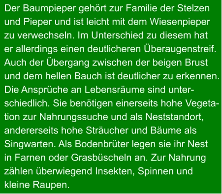 Der Baumpieper gehört zur Familie der Stelzen und Pieper und ist leicht mit dem Wiesenpieper zu verwechseln. Im Unterschied zu diesem hat  er allerdings einen deutlicheren Überaugenstreif. Auch der Übergang zwischen der beigen Brust und dem hellen Bauch ist deutlicher zu erkennen. Die Ansprüche an Lebensräume sind unter- schiedlich. Sie benötigen einerseits hohe Vegeta- tion zur Nahrungssuche und als Neststandort, andererseits hohe Sträucher und Bäume als Singwarten. Als Bodenbrüter legen sie ihr Nest in Farnen oder Grasbüscheln an. Zur Nahrung zählen überwiegend Insekten, Spinnen und kleine Raupen.