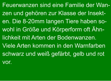 Feuerwanzen sind eine Familie der Wan- zen und gehören zur Klasse der Insekt- en. Die 8-20mm langen Tiere haben so- wohl in Größe und Körperform oft Ähn- lichkeit mit Arten der Bodenwanzen.  Viele Arten kommen in den Warnfarben  schwarz und weiß gefärbt, gelb und rot  vor.