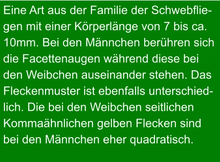 Eine Art aus der Familie der Schwebflie- gen mit einer Körperlänge von 7 bis ca.  10mm. Bei den Männchen berühren sich  die Facettenaugen während diese bei  den Weibchen auseinander stehen. Das  Fleckenmuster ist ebenfalls unterschied- lich. Die bei den Weibchen seitlichen  Kommaähnlichen gelben Flecken sind  bei den Männchen eher quadratisch.