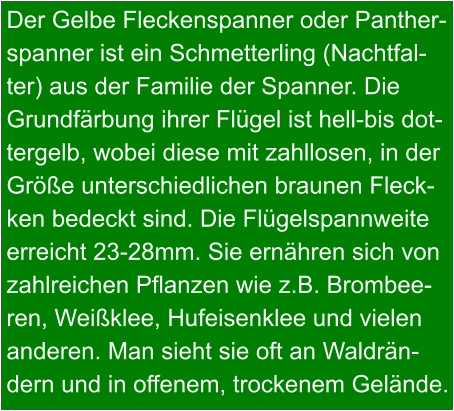 Der Gelbe Fleckenspanner oder Panther- spanner ist ein Schmetterling (Nachtfal- ter) aus der Familie der Spanner. Die Grundfärbung ihrer Flügel ist hell-bis dot- tergelb, wobei diese mit zahllosen, in der Größe unterschiedlichen braunen Fleck- ken bedeckt sind. Die Flügelspannweite erreicht 23-28mm. Sie ernähren sich von zahlreichen Pflanzen wie z.B. Brombee- ren, Weißklee, Hufeisenklee und vielen anderen. Man sieht sie oft an Waldrän- dern und in offenem, trockenem Gelände.