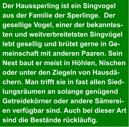 Der Haussperling ist ein Singvogel  aus der Familie der Sperlinge.  Der  gesellige Vogel, einer der bekanntes- ten und weitverbreitetsten Singvögel  lebt gesellig und brütet gerne in Ge- meinschaft mit anderen Paaren. Sein  Nest baut er meist in Höhlen, Nischen  oder unter den Ziegeln von Hausdä- chern. Man trifft sie in fast allen Sied- lungsräumen an solange genügend  Getreidekörner oder andere Sämerei- en verfügbar sind. Auch bei dieser Art  sind die Bestände rückläufig.