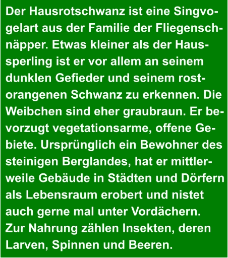 Der Hausrotschwanz ist eine Singvo- gelart aus der Familie der Fliegensch- näpper. Etwas kleiner als der Haus- sperling ist er vor allem an seinem  dunklen Gefieder und seinem rost- orangenen Schwanz zu erkennen. Die  Weibchen sind eher graubraun. Er be- vorzugt vegetationsarme, offene Ge- biete. Ursprünglich ein Bewohner des  steinigen Berglandes, hat er mittler- weile Gebäude in Städten und Dörfern  als Lebensraum erobert und nistet  auch gerne mal unter Vordächern.  Zur Nahrung zählen Insekten, deren  Larven, Spinnen und Beeren.