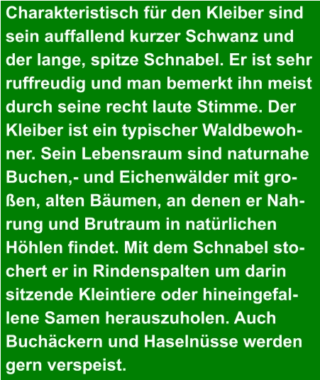 Charakteristisch für den Kleiber sind  sein auffallend kurzer Schwanz und  der lange, spitze Schnabel. Er ist sehr  ruffreudig und man bemerkt ihn meist  durch seine recht laute Stimme. Der  Kleiber ist ein typischer Waldbewoh- ner. Sein Lebensraum sind naturnahe  Buchen,- und Eichenwälder mit gro- ßen, alten Bäumen, an denen er Nah- rung und Brutraum in natürlichen  Höhlen findet. Mit dem Schnabel sto- chert er in Rindenspalten um darin  sitzende Kleintiere oder hineingefal- lene Samen herauszuholen. Auch  Buchäckern und Haselnüsse werden  gern verspeist.