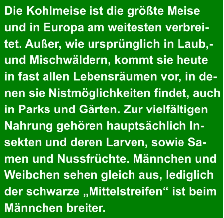 Die Kohlmeise ist die größte Meise  und in Europa am weitesten verbrei- tet. Außer, wie ursprünglich in Laub,-  und Mischwäldern, kommt sie heute  in fast allen Lebensräumen vor, in de- nen sie Nistmöglichkeiten findet, auch  in Parks und Gärten. Zur vielfältigen  Nahrung gehören hauptsächlich In- sekten und deren Larven, sowie Sa- men und Nussfrüchte. Männchen und  Weibchen sehen gleich aus, lediglich  der schwarze „Mittelstreifen“ ist beim  Männchen breiter.