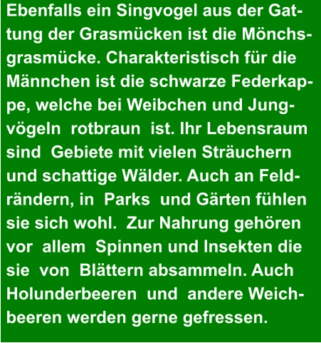 Ebenfalls ein Singvogel aus der Gat- tung der Grasmücken ist die Mönchs- grasmücke. Charakteristisch für die  Männchen ist die schwarze Federkap- pe, welche bei Weibchen und Jung- vögeln  rotbraun  ist. Ihr Lebensraum  sind  Gebiete mit vielen Sträuchern  und schattige Wälder. Auch an Feld- rändern, in  Parks  und Gärten fühlen  sie sich wohl.  Zur Nahrung gehören  vor  allem  Spinnen und Insekten die  sie  von  Blättern absammeln. Auch  Holunderbeeren  und  andere Weich- beeren werden gerne gefressen.