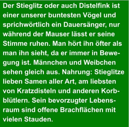 Der Stieglitz oder auch Distelfink ist  einer unserer buntesten Vögel und  sprichwörtlich ein Dauersänger, nur  während der Mauser lässt er seine  Stimme ruhen. Man hört ihn öfter als  man ihn sieht, da er immer in Bewe- gung ist. Männchen und Weibchen  sehen gleich aus. Nahrung: Stieglitze  lieben Samen aller Art, am liebsten  von Kratzdisteln und anderen Korb- blütlern. Sein bevorzugter Lebens- raum sind offene Brachflächen mit  vielen Stauden.