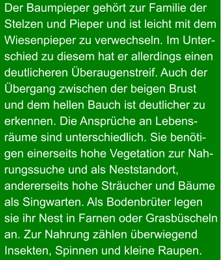 Der Baumpieper gehört zur Familie der  Stelzen und Pieper und ist leicht mit dem Wiesenpieper zu verwechseln. Im Unter- schied zu diesem hat er allerdings einen deutlicheren Überaugenstreif. Auch der  Übergang zwischen der beigen Brust und dem hellen Bauch ist deutlicher zu  erkennen. Die Ansprüche an Lebens- räume sind unterschiedlich. Sie benöti- gen einerseits hohe Vegetation zur Nah- rungssuche und als Neststandort, andererseits hohe Sträucher und Bäume  als Singwarten. Als Bodenbrüter legen  sie ihr Nest in Farnen oder Grasbüscheln  an. Zur Nahrung zählen überwiegend  Insekten, Spinnen und kleine Raupen.