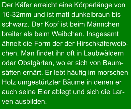 Der Käfer erreicht eine Körperlänge von 16-32mm und ist matt dunkelbraun bis  schwarz. Der Kopf ist beim Männchen  breiter als beim Weibchen. Insgesamt  ähnelt die Form der der Hirschkäferweib- chen. Man findet ihn oft in Laubwäldern  oder Obstgärten, wo er sich von Baum- säften ernärt. Er lebt häufig im morschen  Holz umgestürtzter Bäume in denen er  auch seine Eier ablegt und sich die Lar- ven ausbilden.