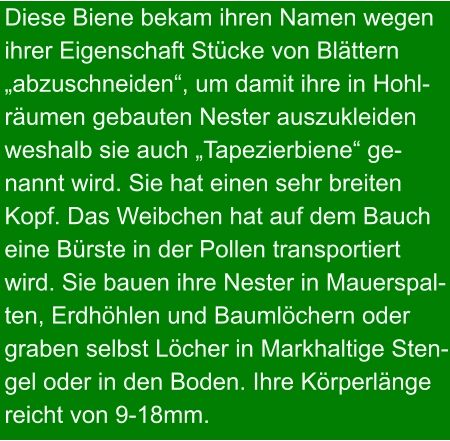 Diese Biene bekam ihren Namen wegen ihrer Eigenschaft Stücke von Blättern „abzuschneiden“, um damit ihre in Hohl- räumen gebauten Nester auszukleiden weshalb sie auch „Tapezierbiene“ ge- nannt wird. Sie hat einen sehr breiten Kopf. Das Weibchen hat auf dem Bauch eine Bürste in der Pollen transportiert  wird. Sie bauen ihre Nester in Mauerspal- ten, Erdhöhlen und Baumlöchern oder graben selbst Löcher in Markhaltige Sten- gel oder in den Boden. Ihre Körperlänge reicht von 9-18mm.