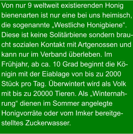 Von nur 9 weltweit existierenden Honig bienenarten ist nur eine bei uns heimisch, die sogenannte „Westliche Honigbiene“. Diese ist keine Solitärbiene sondern brau- cht sozialen Kontakt mit Artgenossen und kann nur im Verband überleben. Im Frühjahr, ab ca. 10 Grad beginnt die Kö- nigin mit der Eiablage von bis zu 2000  Stück pro Tag. Überwintert wird als Volk mit bis zu 20000 Tieren. Als „Winternah- rung“ dienen im Sommer angelegte  Honigvorräte oder vom Imker bereitge- stelltes Zuckerwasser.