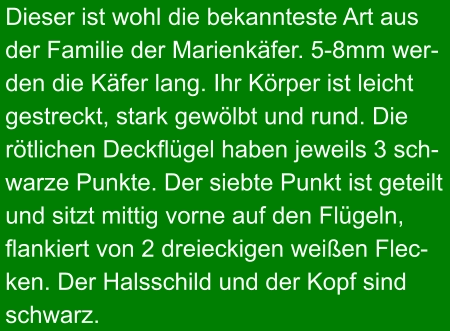 Dieser ist wohl die bekannteste Art aus der Familie der Marienkäfer. 5-8mm wer- den die Käfer lang. Ihr Körper ist leicht gestreckt, stark gewölbt und rund. Die  rötlichen Deckflügel haben jeweils 3 sch- warze Punkte. Der siebte Punkt ist geteilt und sitzt mittig vorne auf den Flügeln, flankiert von 2 dreieckigen weißen Flec- ken. Der Halsschild und der Kopf sind schwarz.