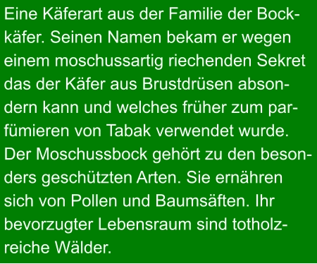 Eine Käferart aus der Familie der Bock- käfer. Seinen Namen bekam er wegen  einem moschussartig riechenden Sekret das der Käfer aus Brustdrüsen abson- dern kann und welches früher zum par- fümieren von Tabak verwendet wurde.  Der Moschussbock gehört zu den beson- ders geschützten Arten. Sie ernähren  sich von Pollen und Baumsäften. Ihr  bevorzugter Lebensraum sind totholz-  reiche Wälder.