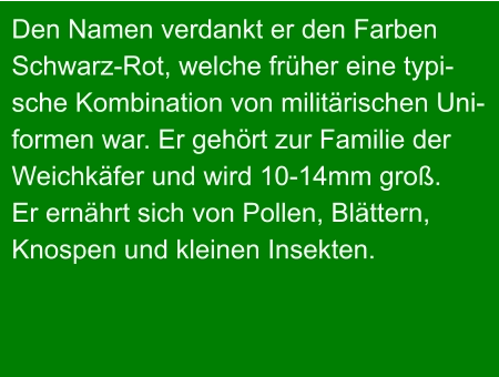 Den Namen verdankt er den Farben Schwarz-Rot, welche früher eine typi- sche Kombination von militärischen Uni- formen war. Er gehört zur Familie der Weichkäfer und wird 10-14mm groß. Er ernährt sich von Pollen, Blättern, Knospen und kleinen Insekten.