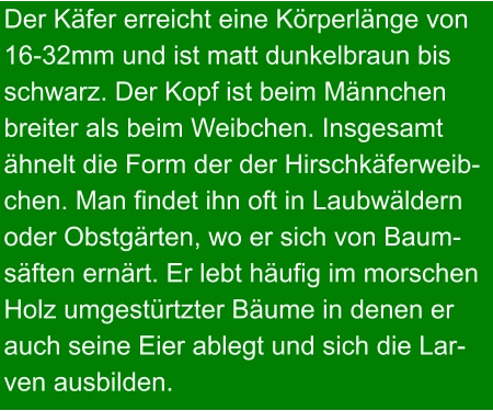 Der Käfer erreicht eine Körperlänge von 16-32mm und ist matt dunkelbraun bis  schwarz. Der Kopf ist beim Männchen  breiter als beim Weibchen. Insgesamt  ähnelt die Form der der Hirschkäferweib- chen. Man findet ihn oft in Laubwäldern  oder Obstgärten, wo er sich von Baum- säften ernärt. Er lebt häufig im morschen  Holz umgestürtzter Bäume in denen er  auch seine Eier ablegt und sich die Lar- ven ausbilden.