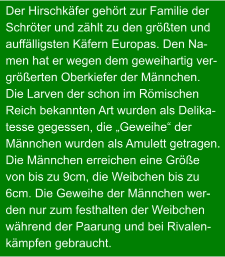 Der Hirschkäfer gehört zur Familie der  Schröter und zählt zu den größten und auffälligsten Käfern Europas. Den Na- men hat er wegen dem geweihartig ver- größerten Oberkiefer der Männchen. Die Larven der schon im Römischen Reich bekannten Art wurden als Delika- tesse gegessen, die „Geweihe“ der Männchen wurden als Amulett getragen. Die Männchen erreichen eine Größe  von bis zu 9cm, die Weibchen bis zu 6cm. Die Geweihe der Männchen wer- den nur zum festhalten der Weibchen während der Paarung und bei Rivalen- kämpfen gebraucht.