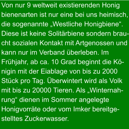 Von nur 9 weltweit existierenden Honig bienenarten ist nur eine bei uns heimisch, die sogenannte „Westliche Honigbiene“. Diese ist keine Solitärbiene sondern brau- cht sozialen Kontakt mit Artgenossen und kann nur im Verband überleben. Im Frühjahr, ab ca. 10 Grad beginnt die Kö- nigin mit der Eiablage von bis zu 2000  Stück pro Tag. Überwintert wird als Volk mit bis zu 20000 Tieren. Als „Winternah- rung“ dienen im Sommer angelegte  Honigvorräte oder vom Imker bereitge- stelltes Zuckerwasser.