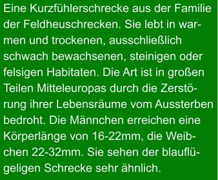 Eine Kurzfühlerschrecke aus der Familie der Feldheuschrecken. Sie lebt in war- men und trockenen, ausschließlich  schwach bewachsenen, steinigen oder  felsigen Habitaten. Die Art ist in großen  Teilen Mitteleuropas durch die Zerstö- rung ihrer Lebensräume vom Aussterben  bedroht. Die Männchen erreichen eine  Körperlänge von 16-22mm, die Weib- chen 22-32mm. Sie sehen der blauflü- geligen Schrecke sehr ähnlich.