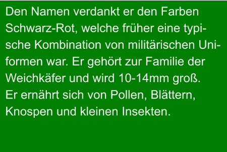 Den Namen verdankt er den Farben Schwarz-Rot, welche früher eine typi- sche Kombination von militärischen Uni- formen war. Er gehört zur Familie der Weichkäfer und wird 10-14mm groß. Er ernährt sich von Pollen, Blättern, Knospen und kleinen Insekten.