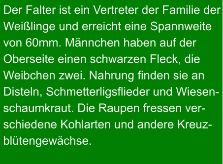 Der Falter ist ein Vertreter der Familie der Weißlinge und erreicht eine Spannweite von 60mm. Männchen haben auf der Oberseite einen schwarzen Fleck, die  Weibchen zwei. Nahrung finden sie an  Disteln, Schmetterligsflieder und Wiesen- schaumkraut. Die Raupen fressen ver- schiedene Kohlarten und andere Kreuz- blütengewächse.