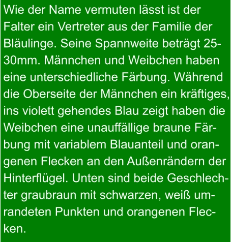 Wie der Name vermuten lässt ist der  Falter ein Vertreter aus der Familie der Bläulinge. Seine Spannweite beträgt 25- 30mm. Männchen und Weibchen haben eine unterschiedliche Färbung. Während die Oberseite der Männchen ein kräftiges, ins violett gehendes Blau zeigt haben die  Weibchen eine unauffällige braune Fär- bung mit variablem Blauanteil und oran- genen Flecken an den Außenrändern der Hinterflügel. Unten sind beide Geschlech- ter graubraun mit schwarzen, weiß um- randeten Punkten und orangenen Flec- ken.