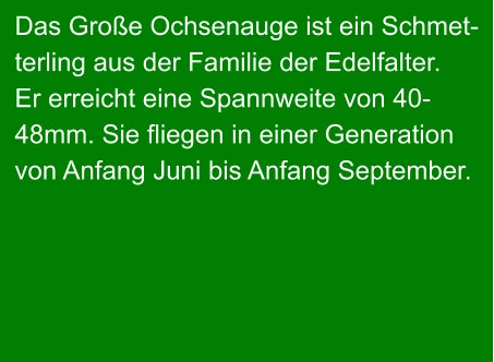 Das Große Ochsenauge ist ein Schmet- terling aus der Familie der Edelfalter. Er erreicht eine Spannweite von 40- 48mm. Sie fliegen in einer Generation von Anfang Juni bis Anfang September.