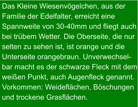 Das Kleine Wiesenvögelchen, aus der Familie der Edelfalter, erreicht eine Spannweite von 30-40mm und fliegt auch bei trübem Wetter. Die Oberseite, die nur selten zu sehen ist, ist orange und die Unterseite orangebraun. Unverwechsel- bar macht es der schwarze Fleck mit dem weißen Punkt, auch Augenfleck genannt. Vorkommen: Weideflächen, Böschungen und trockene Grasflächen.