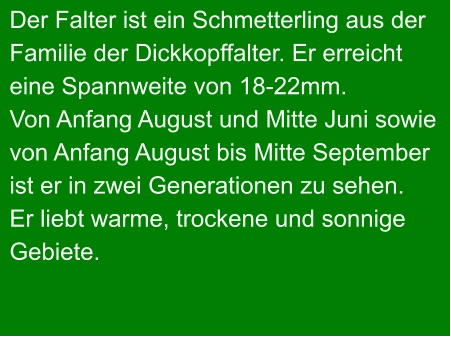 Der Falter ist ein Schmetterling aus der Familie der Dickkopffalter. Er erreicht  eine Spannweite von 18-22mm. Von Anfang August und Mitte Juni sowie von Anfang August bis Mitte September ist er in zwei Generationen zu sehen. Er liebt warme, trockene und sonnige Gebiete.