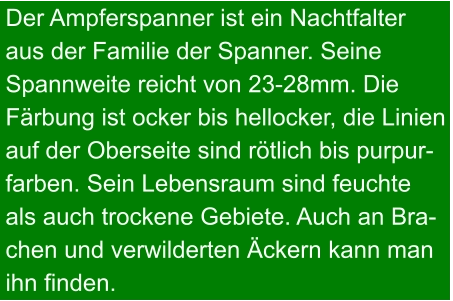 Der Ampferspanner ist ein Nachtfalter  aus der Familie der Spanner. Seine  Spannweite reicht von 23-28mm. Die  Färbung ist ocker bis hellocker, die Linien  auf der Oberseite sind rötlich bis purpur- farben. Sein Lebensraum sind feuchte als auch trockene Gebiete. Auch an Bra- chen und verwilderten Äckern kann man ihn finden.