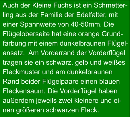 Auch der Kleine Fuchs ist ein Schmetter- ling aus der Familie der Edelfalter, mit  einer Spannweite von 40-50mm. Die Flügeloberseite hat eine orange Grund- färbung mit einem dunkelbraunen Flügel- ansatz.  Am Vorderrand der Vorderflügel tragen sie ein schwarz, gelb und weißes Fleckmuster und am dunkelbraunen  Rand beider Flügelpaare einen blauen  Fleckensaum. Die Vorderflügel haben  außerdem jeweils zwei kleinere und ei- nen größeren schwarzen Fleck.