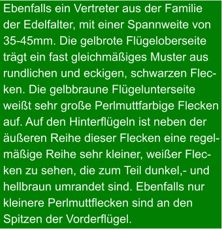 Ebenfalls ein Vertreter aus der Familie der Edelfalter, mit einer Spannweite von 35-45mm. Die gelbrote Flügeloberseite trägt ein fast gleichmäßiges Muster aus rundlichen und eckigen, schwarzen Flec- ken. Die gelbbraune Flügelunterseite weißt sehr große Perlmuttfarbige Flecken auf. Auf den Hinterflügeln ist neben der äußeren Reihe dieser Flecken eine regel- mäßige Reihe sehr kleiner, weißer Flec- ken zu sehen, die zum Teil dunkel,- und hellbraun umrandet sind. Ebenfalls nur kleinere Perlmuttflecken sind an den Spitzen der Vorderflügel.