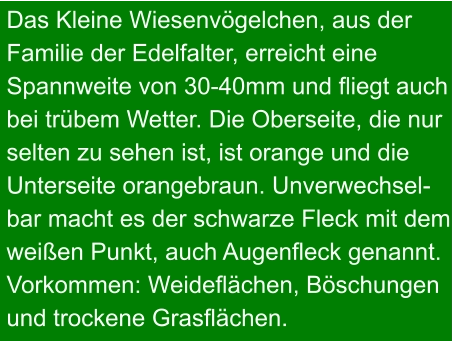 Das Kleine Wiesenvögelchen, aus der Familie der Edelfalter, erreicht eine Spannweite von 30-40mm und fliegt auch bei trübem Wetter. Die Oberseite, die nur selten zu sehen ist, ist orange und die Unterseite orangebraun. Unverwechsel- bar macht es der schwarze Fleck mit dem weißen Punkt, auch Augenfleck genannt. Vorkommen: Weideflächen, Böschungen und trockene Grasflächen.