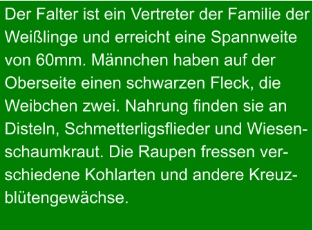 Der Falter ist ein Vertreter der Familie der Weißlinge und erreicht eine Spannweite von 60mm. Männchen haben auf der Oberseite einen schwarzen Fleck, die  Weibchen zwei. Nahrung finden sie an  Disteln, Schmetterligsflieder und Wiesen- schaumkraut. Die Raupen fressen ver- schiedene Kohlarten und andere Kreuz- blütengewächse.