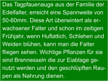 Das Tagpfauenauge aus der Familie der Edelfalter, erreicht eine Spannweite von 50-60mm. Diese Art überwintert als er- wachsener Falter und schon im zeitigen Frühjahr, wenn Huflattich, Schlehen und Weiden blühen, kann man die Falter fliegen sehen. Wichtige Pflanzen für sie sind Brennesseln die zur Eiablage ge- nutzt werden und den geschlüpften Rau- pen als Nahrung dienen.