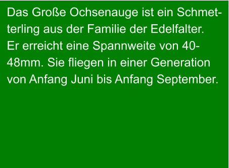 Das Große Ochsenauge ist ein Schmet- terling aus der Familie der Edelfalter. Er erreicht eine Spannweite von 40- 48mm. Sie fliegen in einer Generation von Anfang Juni bis Anfang September.