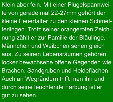 Klein aber fein. Mit einer Flügelspannwei- te von gerade mal 22-27mm gehört der  kleine Feuerfalter zu den kleinen Schmet- terlingen. Trotz seiner orangeroten Zeich- nung zählt er zur Familie der Bläulinge. Männchen und Weibchen sehen gleich aus. Zu seinen Lebensräumen gehören locker bewachsene offene Gegenden wie Brachen, Sandgruben und Heideflächen. Auch an Wegrändern trifft man ihn und durch seine leuchtende Färbung ist er gut zu sehen.