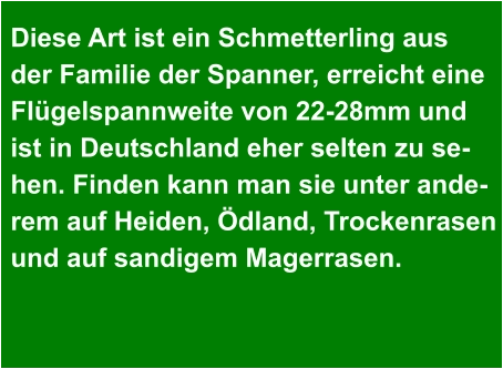 Diese Art ist ein Schmetterling aus der Familie der Spanner, erreicht eine Flügelspannweite von 22-28mm und ist in Deutschland eher selten zu se- hen. Finden kann man sie unter ande- rem auf Heiden, Ödland, Trockenrasen und auf sandigem Magerrasen.