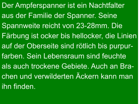 Der Ampferspanner ist ein Nachtfalter  aus der Familie der Spanner. Seine  Spannweite reicht von 23-28mm. Die  Färbung ist ocker bis hellocker, die Linien  auf der Oberseite sind rötlich bis purpur- farben. Sein Lebensraum sind feuchte als auch trockene Gebiete. Auch an Bra- chen und verwilderten Äckern kann man ihn finden.