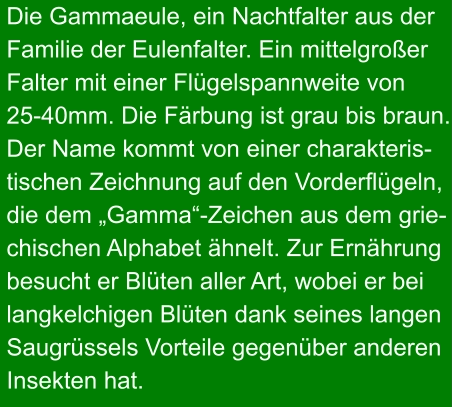 Die Gammaeule, ein Nachtfalter aus der Familie der Eulenfalter. Ein mittelgroßer Falter mit einer Flügelspannweite von 25-40mm. Die Färbung ist grau bis braun. Der Name kommt von einer charakteris- tischen Zeichnung auf den Vorderflügeln, die dem „Gamma“-Zeichen aus dem grie- chischen Alphabet ähnelt. Zur Ernährung besucht er Blüten aller Art, wobei er bei langkelchigen Blüten dank seines langen Saugrüssels Vorteile gegenüber anderen Insekten hat.