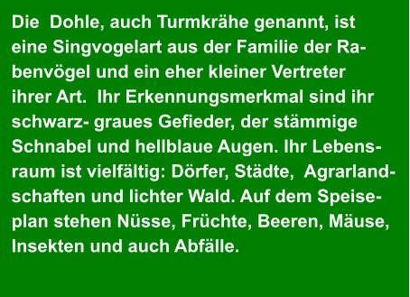 Die  Dohle, auch Turmkrähe genannt, ist  eine Singvogelart aus der Familie der Ra- benvögel und ein eher kleiner Vertreter   ihrer Art.  Ihr Erkennungsmerkmal sind ihr  schwarz- graues Gefieder, der stämmige   Schnabel und hellblaue Augen. Ihr Lebens- raum ist vielfältig: Dörfer, Städte,  Agrarland- schaften und lichter Wald. Auf dem Speise- plan stehen Nüsse, Früchte, Beeren, Mäuse,  Insekten und auch Abfälle.