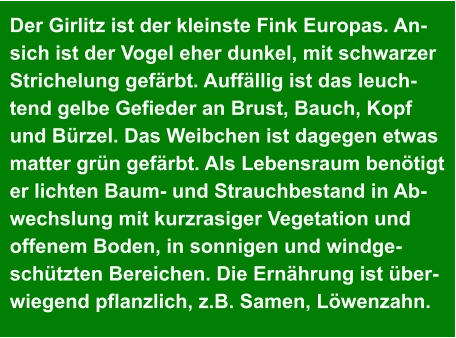 Der Girlitz ist der kleinste Fink Europas. An- sich ist der Vogel eher dunkel, mit schwarzer  Strichelung gefärbt. Auffällig ist das leuch- tend gelbe Gefieder an Brust, Bauch, Kopf  und Bürzel. Das Weibchen ist dagegen etwas  matter grün gefärbt. Als Lebensraum benötigt  er lichten Baum- und Strauchbestand in Ab- wechslung mit kurzrasiger Vegetation und  offenem Boden, in sonnigen und windge- schützten Bereichen. Die Ernährung ist über- wiegend pflanzlich, z.B. Samen, Löwenzahn.