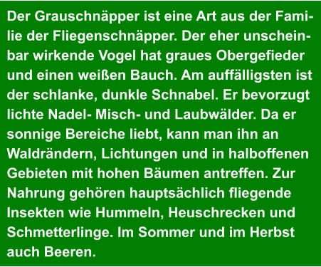 Der Grauschnäpper ist eine Art aus der Fami- lie der Fliegenschnäpper. Der eher unschein- bar wirkende Vogel hat graues Obergefieder  und einen weißen Bauch. Am auffälligsten ist  der schlanke, dunkle Schnabel. Er bevorzugt  lichte Nadel- Misch- und Laubwälder. Da er  sonnige Bereiche liebt, kann man ihn an  Waldrändern, Lichtungen und in halboffenen  Gebieten mit hohen Bäumen antreffen. Zur  Nahrung gehören hauptsächlich fliegende  Insekten wie Hummeln, Heuschrecken und  Schmetterlinge. Im Sommer und im Herbst  auch Beeren.