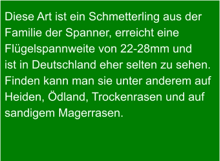 Diese Art ist ein Schmetterling aus der  Familie der Spanner, erreicht eine Flügelspannweite von 22-28mm und ist in Deutschland eher selten zu sehen.  Finden kann man sie unter anderem auf  Heiden, Ödland, Trockenrasen und auf  sandigem Magerrasen.