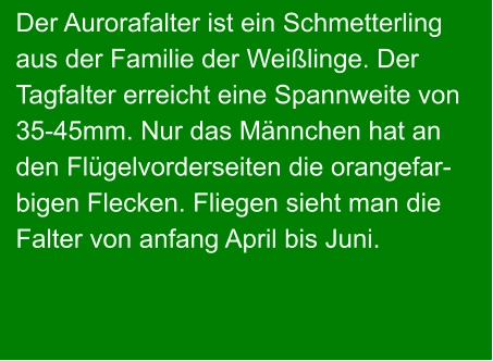 Der Aurorafalter ist ein Schmetterling aus der Familie der Weißlinge. Der  Tagfalter erreicht eine Spannweite von 35-45mm. Nur das Männchen hat an den Flügelvorderseiten die orangefar- bigen Flecken. Fliegen sieht man die Falter von anfang April bis Juni.