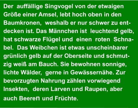 Der  auffällige Singvogel von der etwaigen   Größe einer Amsel, lebt hoch oben in den   Baumkronen,  weshalb er nur schwer zu ent- decken ist. Das Männchen ist  leuchtend gelb,   hat schwarze Flügel und  einen  roten  Schna- bel.  Das Weibchen ist etwas unscheinbarer  grünlich gelb auf der Oberseite und schmut- zig weiß am Bauch. Sie bewohnen sonnige,  lichte Wälder,  gerne in Gewässernähe. Zur   bevorzugten Nahrung zählen vorwiegend   Insekten,  deren Larven und Raupen, aber  auch Beeren und Früchte.