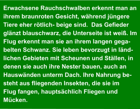 Erwachsene Rauchschwalben erkennt man an ihrem braunroten Gesicht, während jüngere Tiere eher rötlich- beige sind.  Das Gefieder  glänzt blauschwarz, die Unterseite ist weiß. Im Flug erkennt man sie an ihrem langen gega- belten Schwanz. Sie leben bevorzugt in länd- lichen Gebieten mit Scheunen und Ställen, in  denen sie auch ihre Nester bauen, auch an  Hauswänden unterm Dach. Ihre Nahrung be- steht aus fliegenden Insekten, die sie im  Flug fangen, hauptsächlich Fliegen und  Mücken.