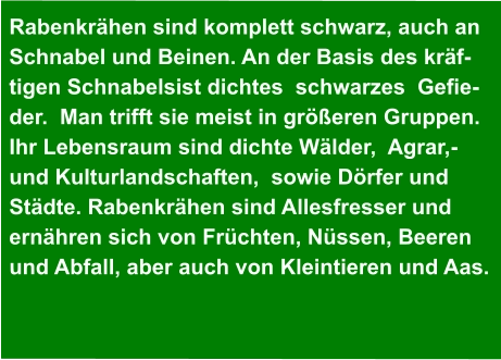 Rabenkrähen sind komplett schwarz, auch an  Schnabel und Beinen. An der Basis des kräf- tigen Schnabelsist dichtes  schwarzes  Gefie- der.  Man trifft sie meist in größeren Gruppen.  Ihr Lebensraum sind dichte Wälder,  Agrar,-  und Kulturlandschaften,  sowie Dörfer und  Städte. Rabenkrähen sind Allesfresser und   ernähren sich von Früchten, Nüssen, Beeren  und Abfall, aber auch von Kleintieren und Aas.