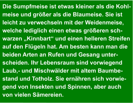 Die Sumpfmeise ist etwas kleiner als die Kohl- meise und größer als die Blaumeise. Sie ist  leicht zu verwechseln mit der Weidenmeise,  welche lediglich einen etwas größeren sch- warzen „Kinnbart“ und einen helleren Streifen  auf den Flügeln hat. Am besten kann man die  beiden Arten an Rufen und Gesang unter- scheiden. Ihr Lebensraum sind vorwiegend  Laub,- und Mischwälder mit altem Baumbe- stand und Totholz. Sie ernähren sich vorwie- gend von Insekten und Spinnen, aber auch  von vielen Sämereien.