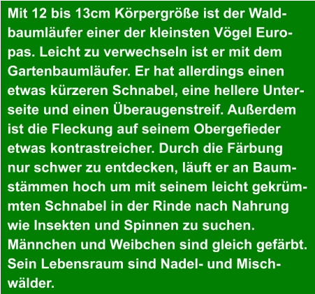 Mit 12 bis 13cm Körpergröße ist der Wald- baumläufer einer der kleinsten Vögel Euro- pas. Leicht zu verwechseln ist er mit dem  Gartenbaumläufer. Er hat allerdings einen  etwas kürzeren Schnabel, eine hellere Unter- seite und einen Überaugenstreif. Außerdem  ist die Fleckung auf seinem Obergefieder  etwas kontrastreicher. Durch die Färbung  nur schwer zu entdecken, läuft er an Baum- stämmen hoch um mit seinem leicht gekrüm- mten Schnabel in der Rinde nach Nahrung  wie Insekten und Spinnen zu suchen.  Männchen und Weibchen sind gleich gefärbt.  Sein Lebensraum sind Nadel- und Misch- wälder.