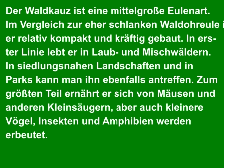 Der Waldkauz ist eine mittelgroße Eulenart.  Im Vergleich zur eher schlanken Waldohreule ist er relativ kompakt und kräftig gebaut. In ers- ter Linie lebt er in Laub- und Mischwäldern.  In siedlungsnahen Landschaften und in  Parks kann man ihn ebenfalls antreffen. Zum  größten Teil ernährt er sich von Mäusen und  anderen Kleinsäugern, aber auch kleinere  Vögel, Insekten und Amphibien werden  erbeutet.