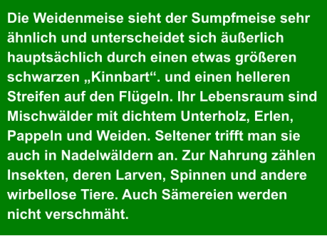 Die Weidenmeise sieht der Sumpfmeise sehr  ähnlich und unterscheidet sich äußerlich  hauptsächlich durch einen etwas größeren  schwarzen „Kinnbart“. und einen helleren  Streifen auf den Flügeln. Ihr Lebensraum sind  Mischwälder mit dichtem Unterholz, Erlen,  Pappeln und Weiden. Seltener trifft man sie  auch in Nadelwäldern an. Zur Nahrung zählen  Insekten, deren Larven, Spinnen und andere  wirbellose Tiere. Auch Sämereien werden  nicht verschmäht.